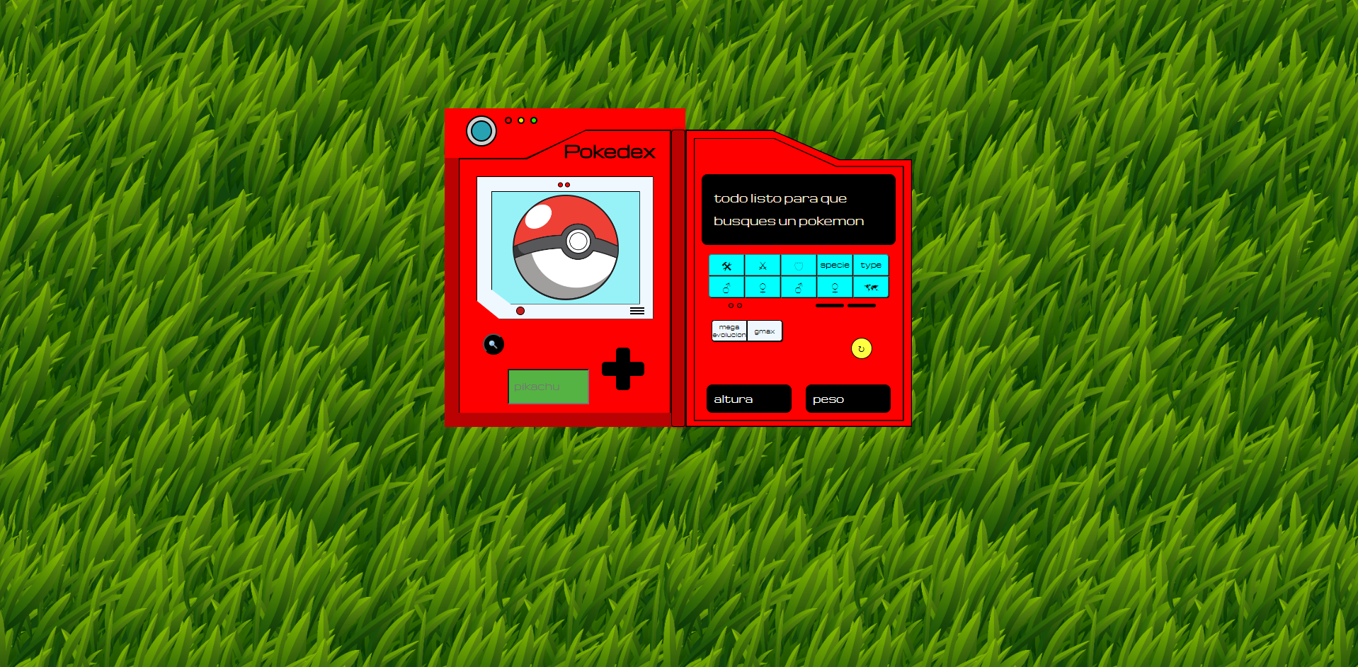 imagen proyect 5